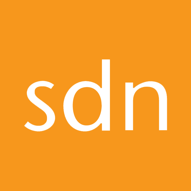 SDN Children's Services logo
